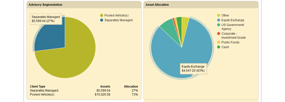 Advisory segmentation and asset allocation.