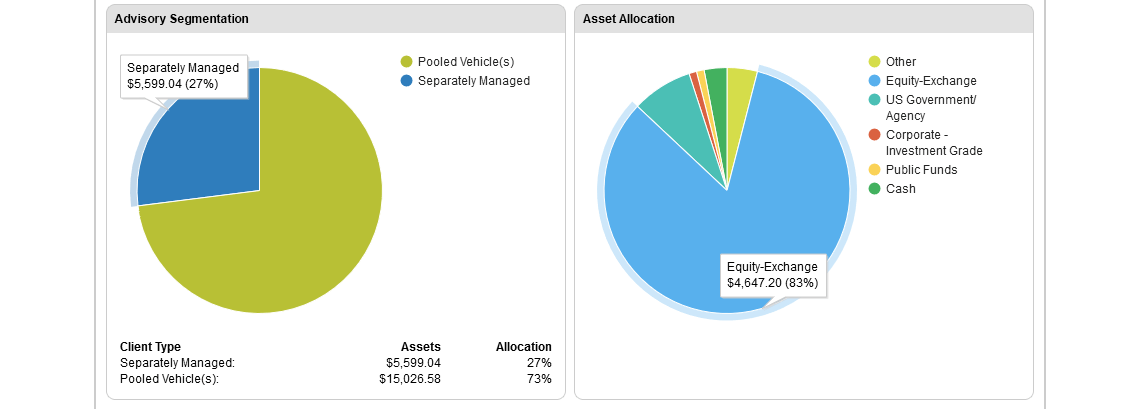 Advisory segmentation and asset allocation.