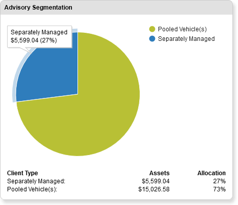 Advisory Segmentation